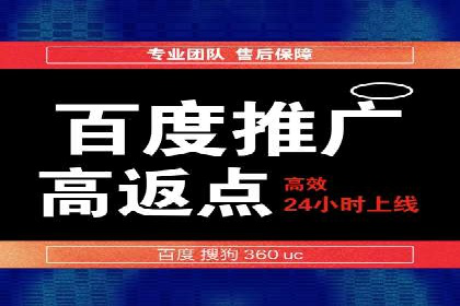 SEM服务案例：提升网站流量